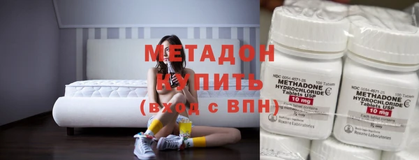 индика Горнозаводск